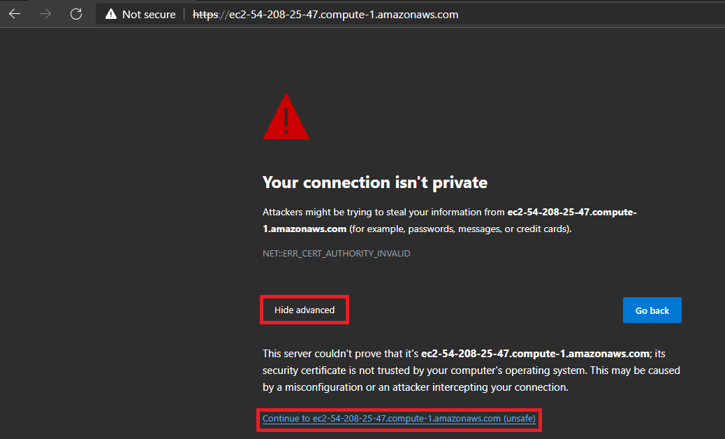 Select ‘advanced’ to bypass the warning that the page is not secure
